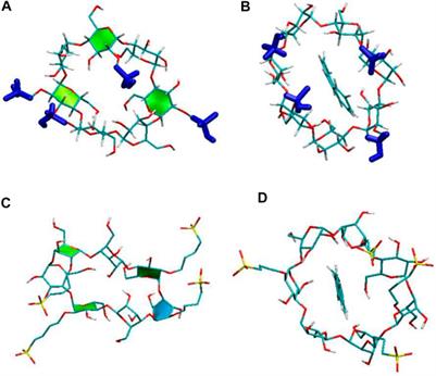 Computational Insights Into the Influence of Substitution Groups on the Inclusion Complexation of β-Cyclodextrin